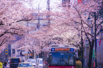 横浜市青葉区