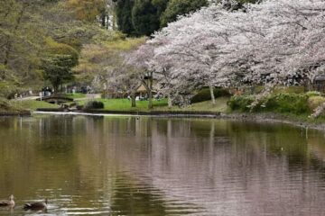 千葉市花見川区