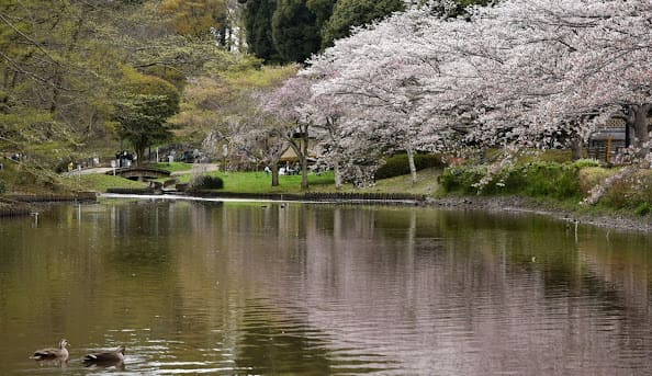 千葉市花見川区