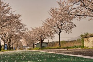 土浦市