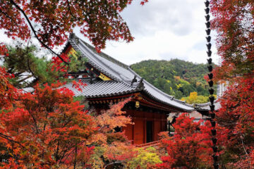 京都市山科区