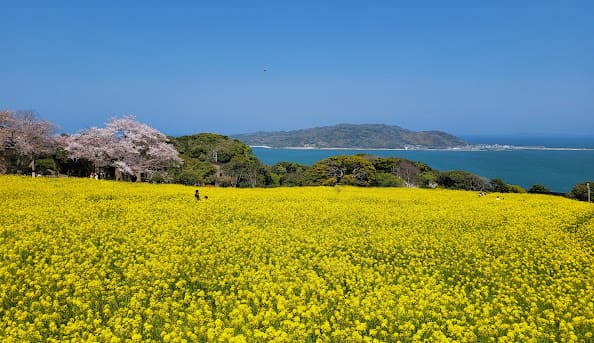 福岡市西区