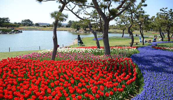 福岡市東区